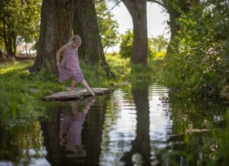 Kto zablokował wejście Ukrainy do NATO?